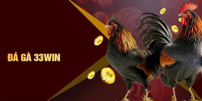 Đá Gà 3333WIN - Sân Chơi Đẳng Cấp Dành Cho Các Kê Thủ